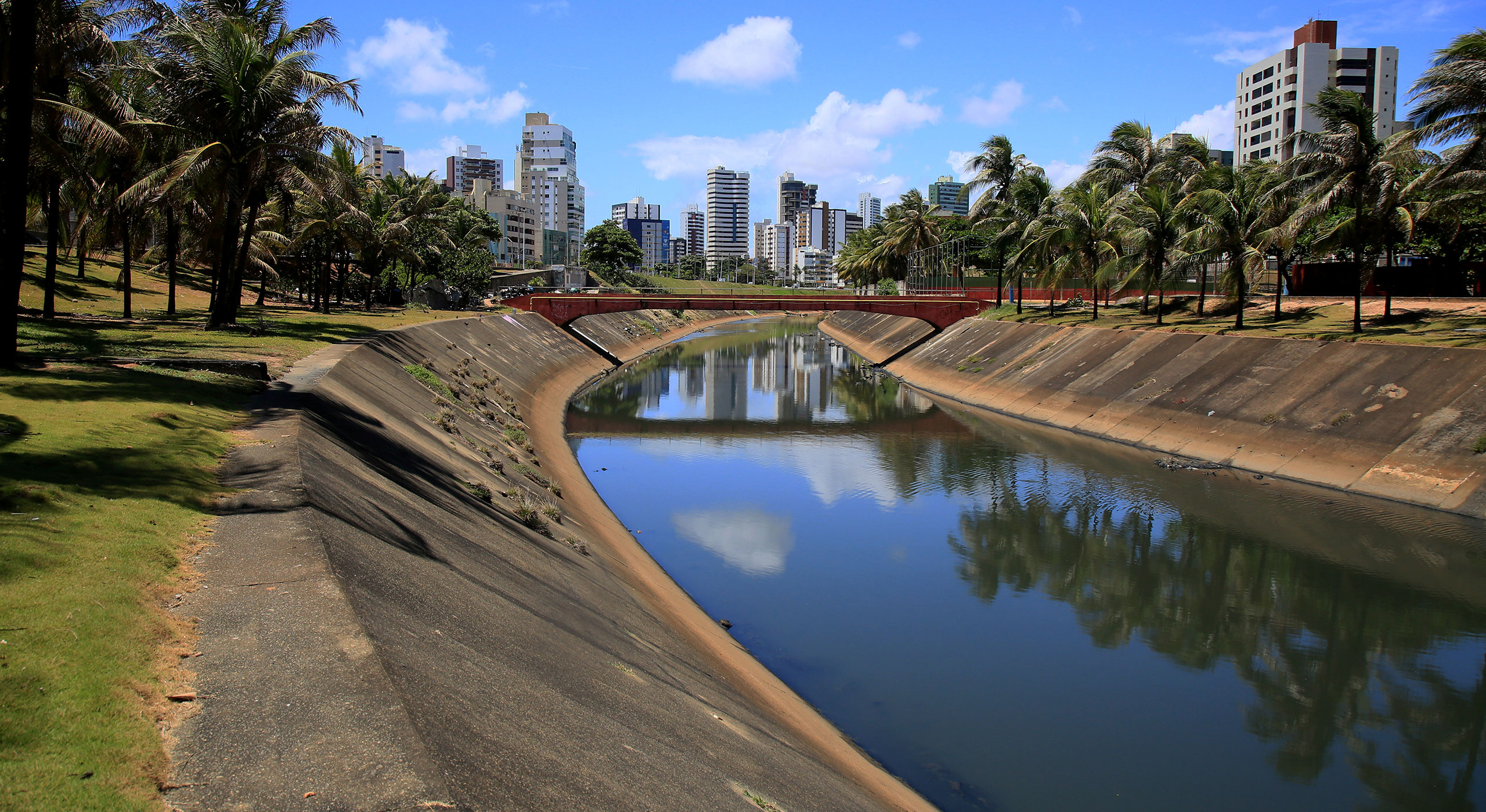 Urban water canal and storm drain system lined with palm trees, showcasing modern water engineering for sustainable city infrastructure.