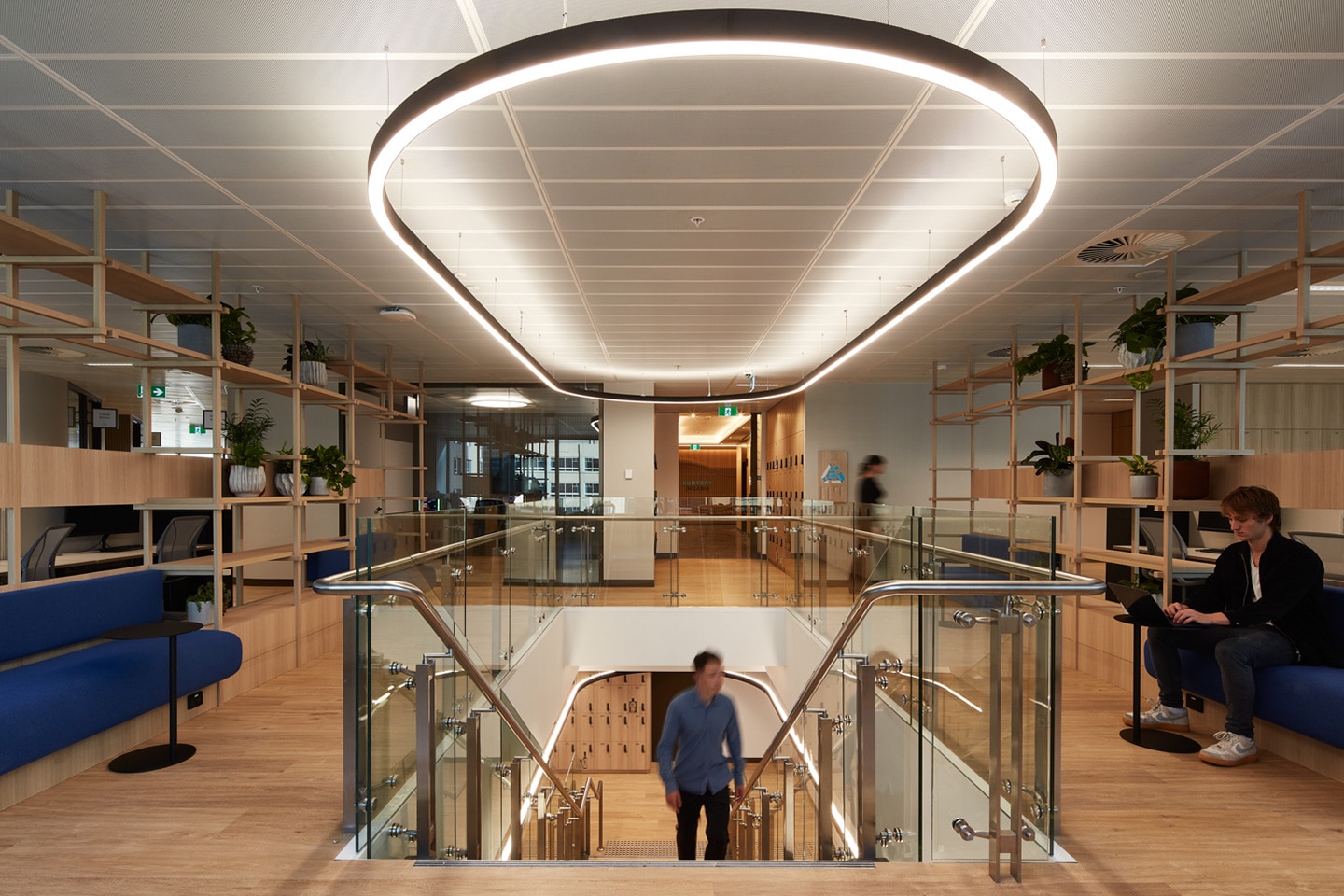Suntory Oceania Workplace Design project photo