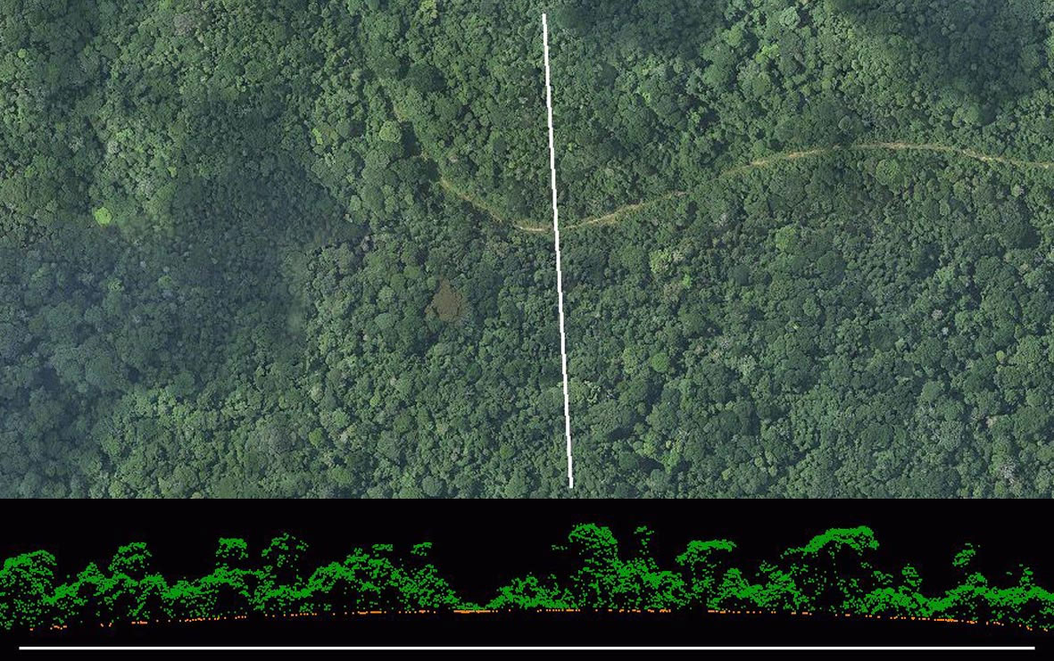 Agriculture and Environment