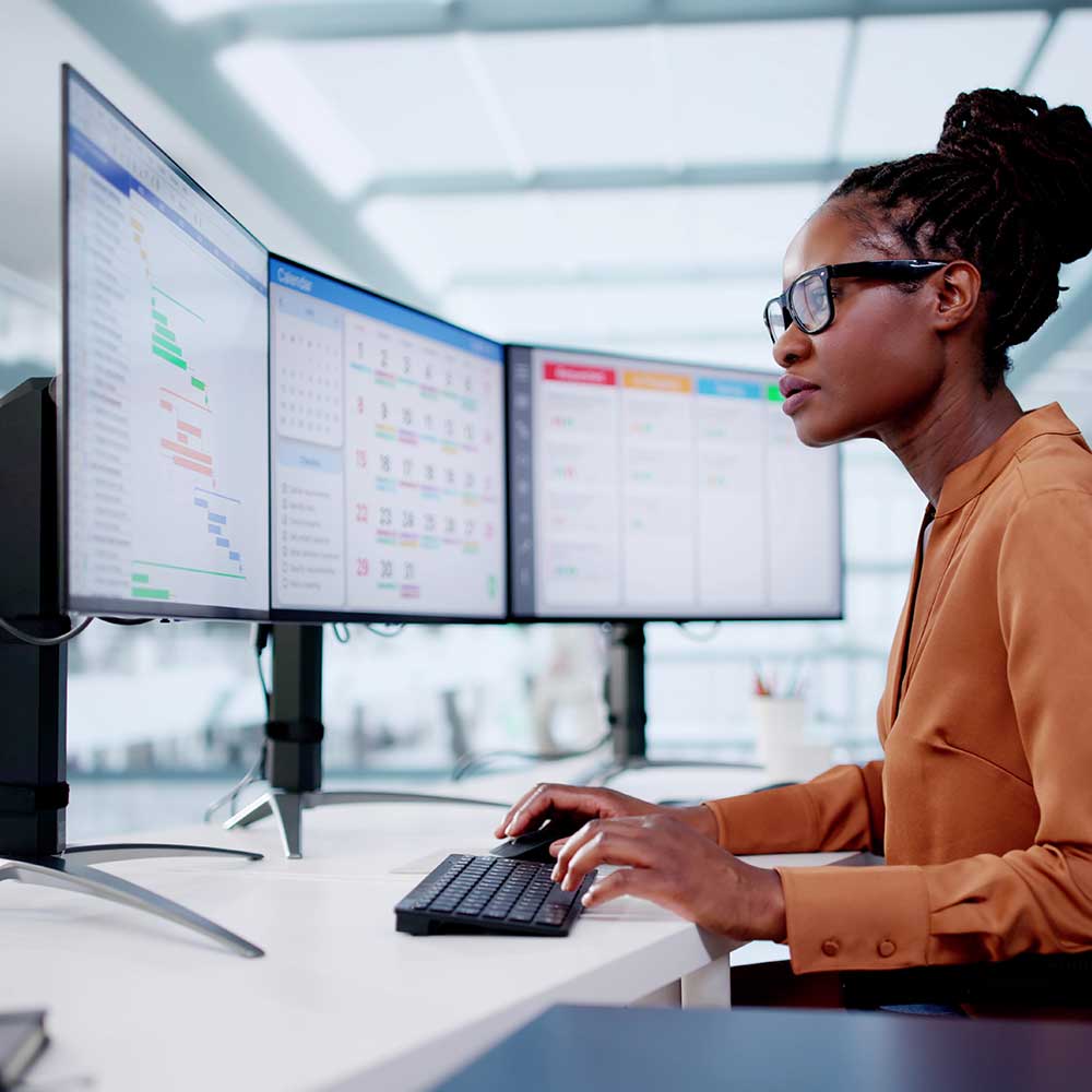 Executive Program Management