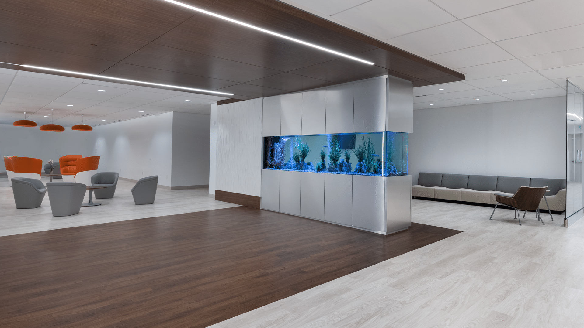 Gastro Health Renovation